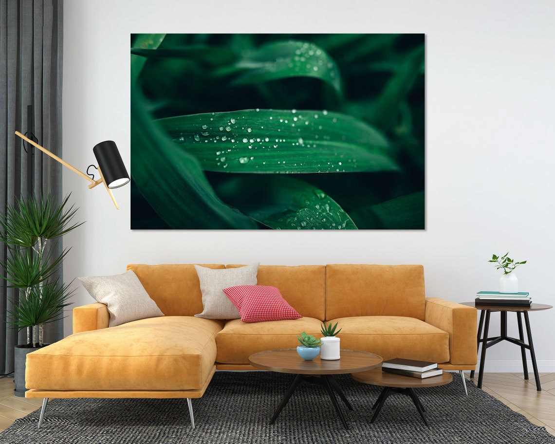 Morning Dew Drops on Green Leaves Fresh Botanical Macro Nature Poster - Image 4
