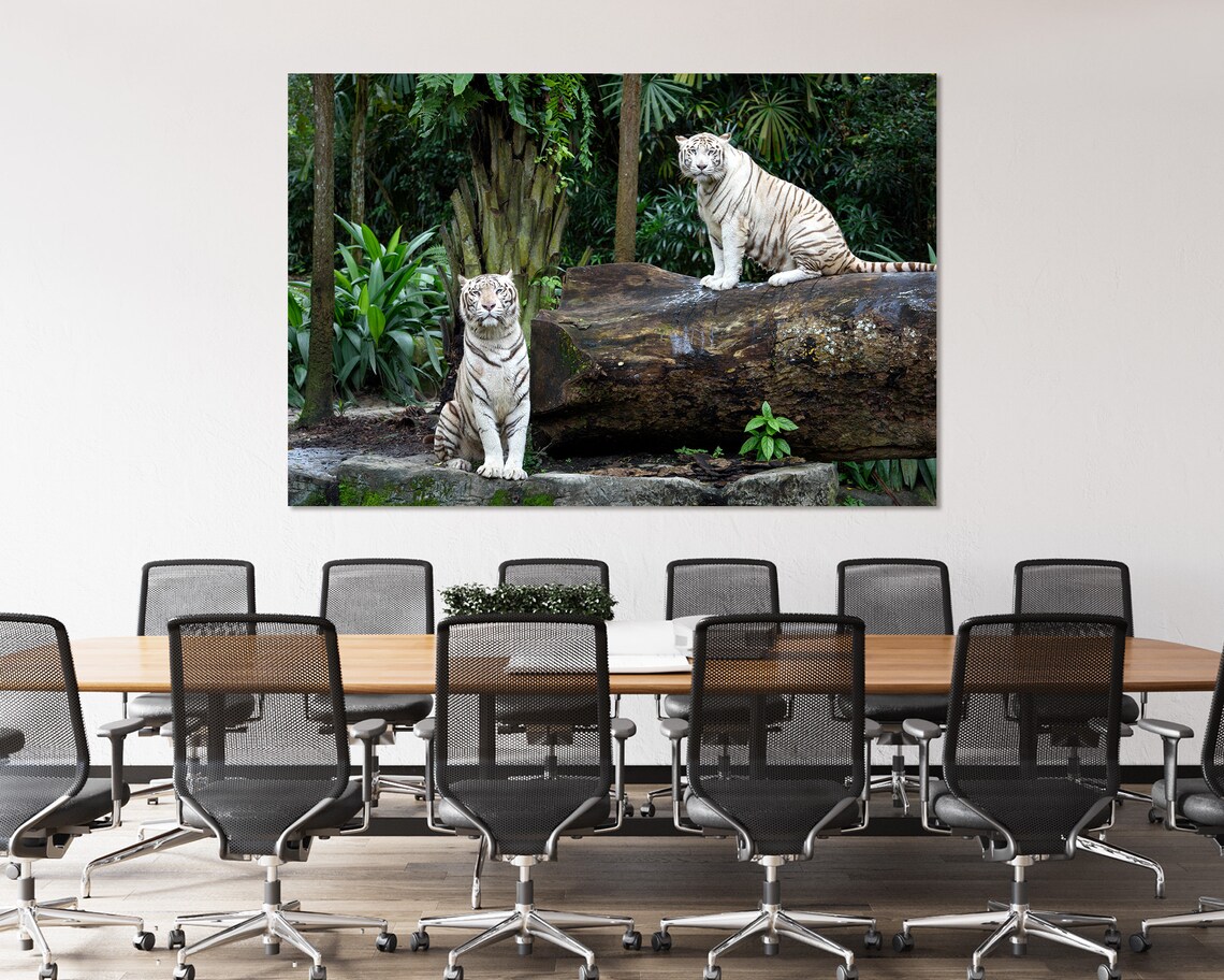 White Bengal Tigers Jungle Rocks Wildlife Photography Wall Decor Poster - Image 4