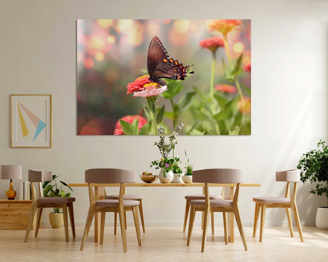 Dark Brown Butterfly On Pink Zinnia Flowers Bokeh Garden Wall Art