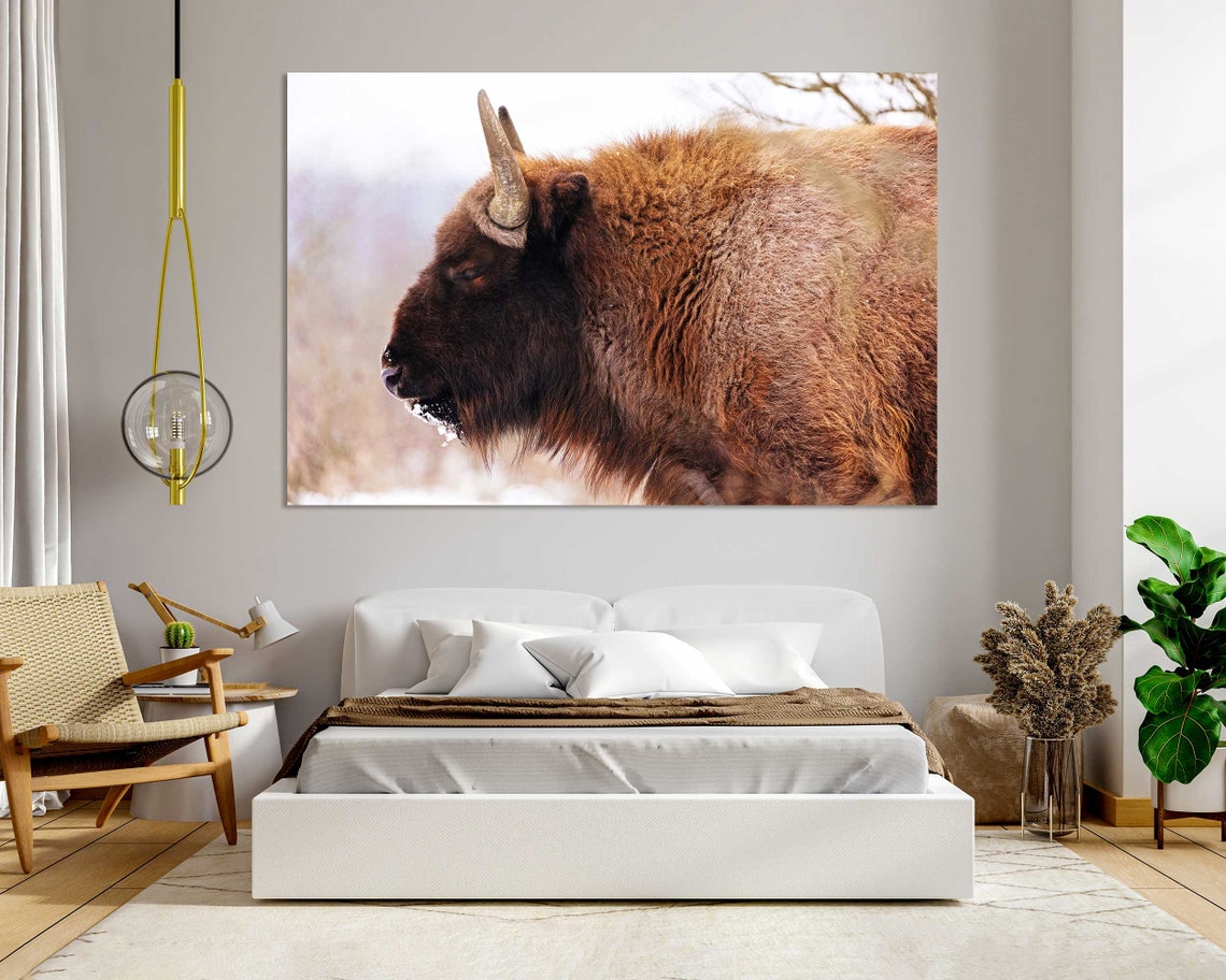 Bison Closeup Portrait In Snowy Winter Landscape Wildlife Poster