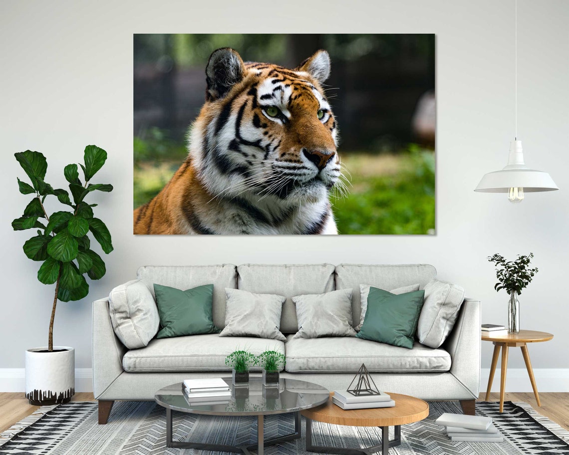 Majestic Tiger Face Close Up Portrait Green Forest Wall Poster