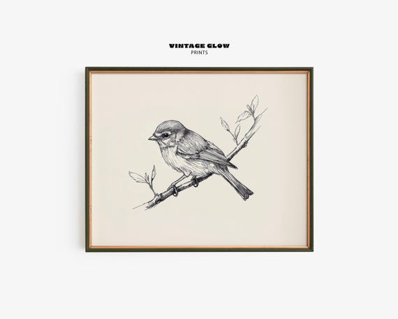 Vintage Bird Line Drawing Print, Rustic Spring Decor