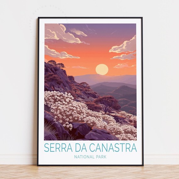 Serra da Canastra National Park Sunset Wildflowers Mountain Poster