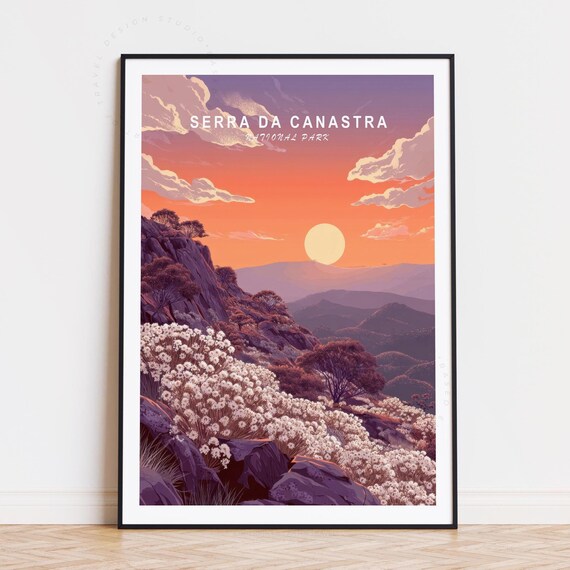 Serra da Canastra National Park Sunset Hillside White Flowers Poster