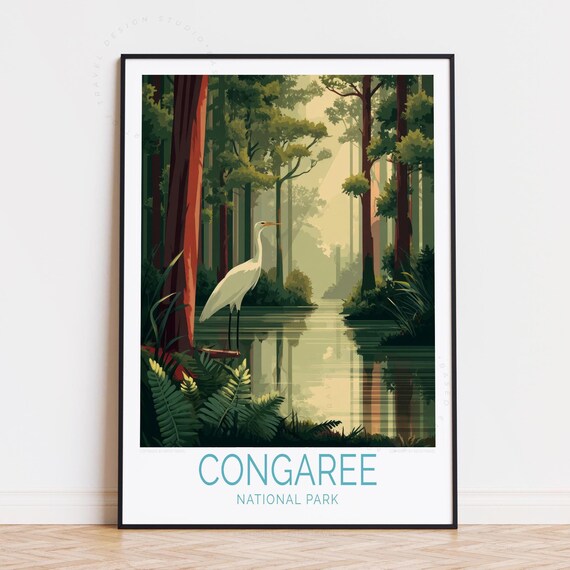 Congaree National Park Egret Forest Stream Reflection Travel Poster