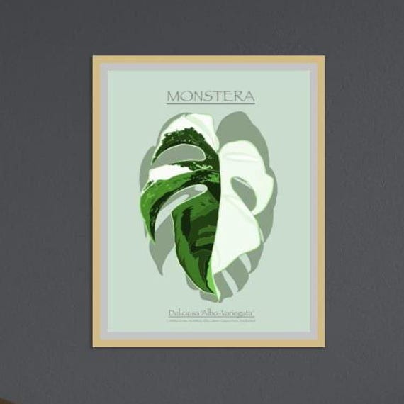Instant Green Monstera Albo Art Botanical Leaf Variegata Home Decor