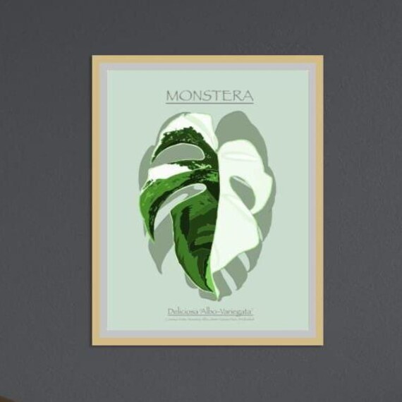 Monstera Deliciosa Albo Variegata Minimal Botanical Leaf Art Poster