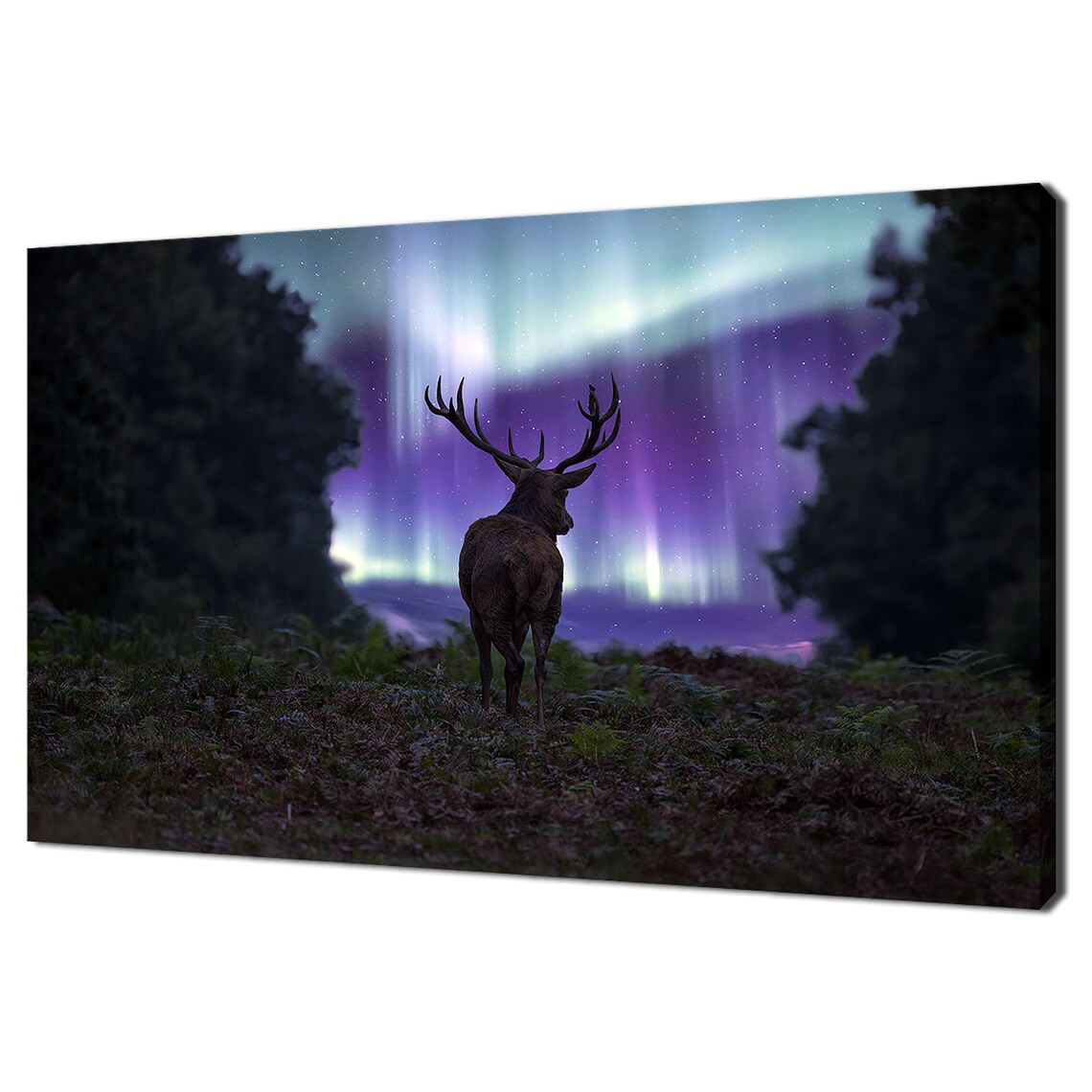 Red Deer Stag Under Purple Northern Lights Aurora Night Sky Forest Print