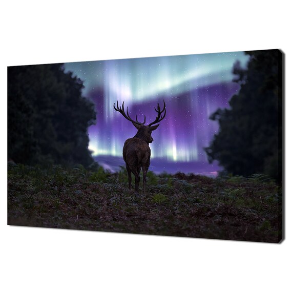 Red Deer Stag Under Purple Northern Lights Aurora Night Sky Forest Print