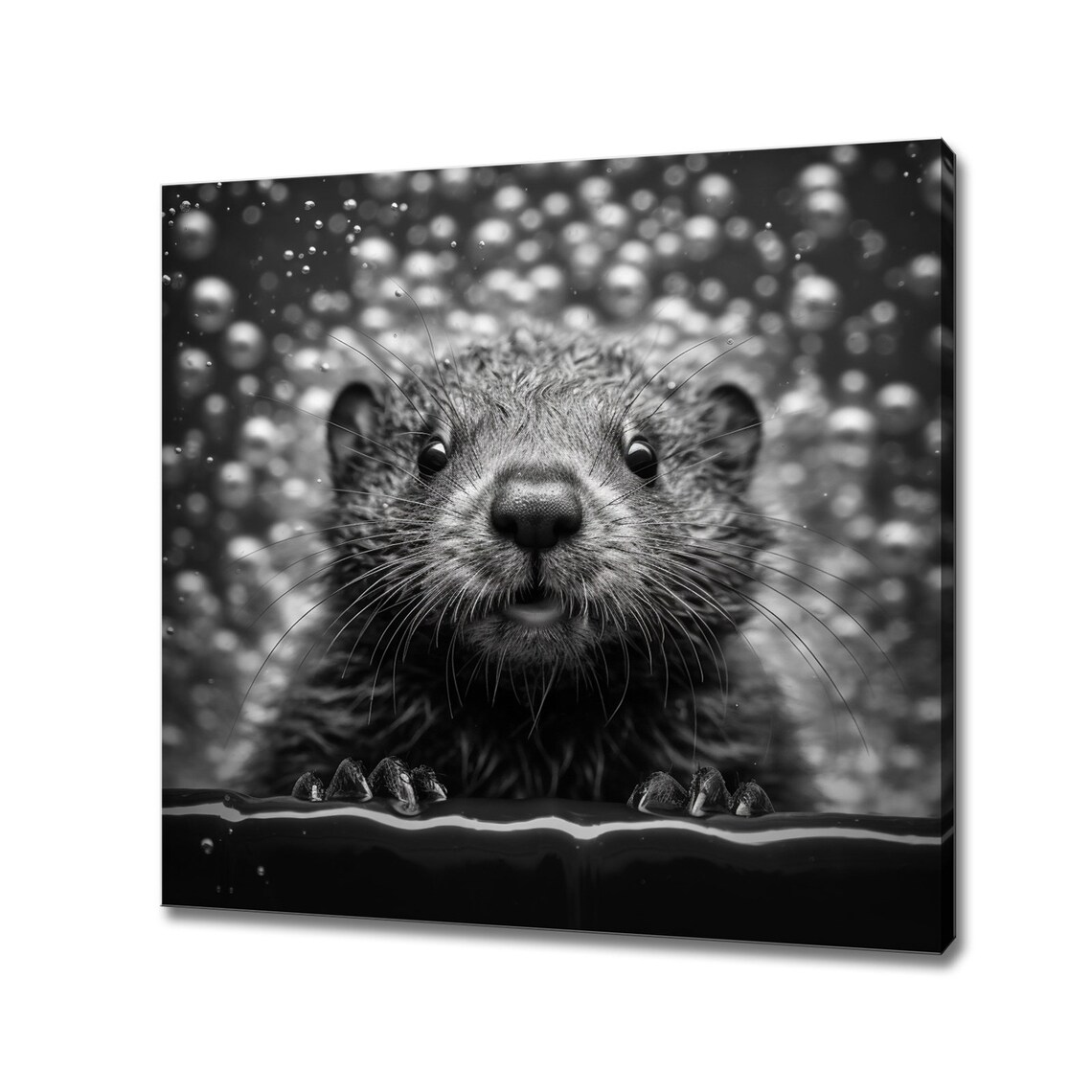 Wet Baby Otter Peeking Over Bathtub Black And White Nursery Print