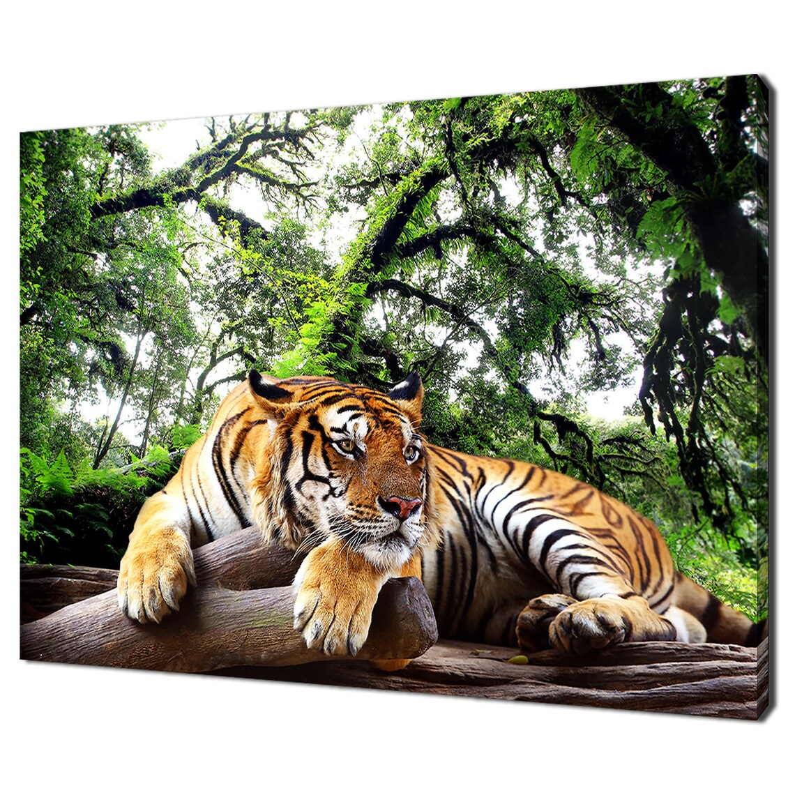 Tiger in Green Forest Trees, Modern Wall Art Print