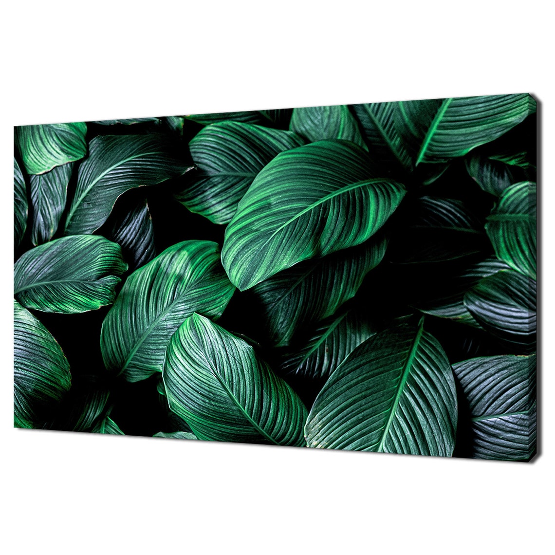 Dark Green Tropical Leaves Moody Botanical Photography Wall Art
