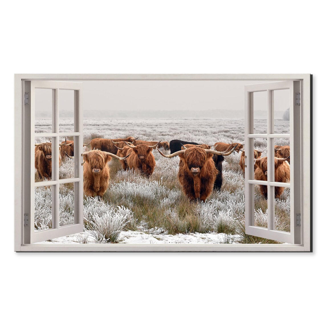Herd of Scottish Highland Cows, Modern Art Print