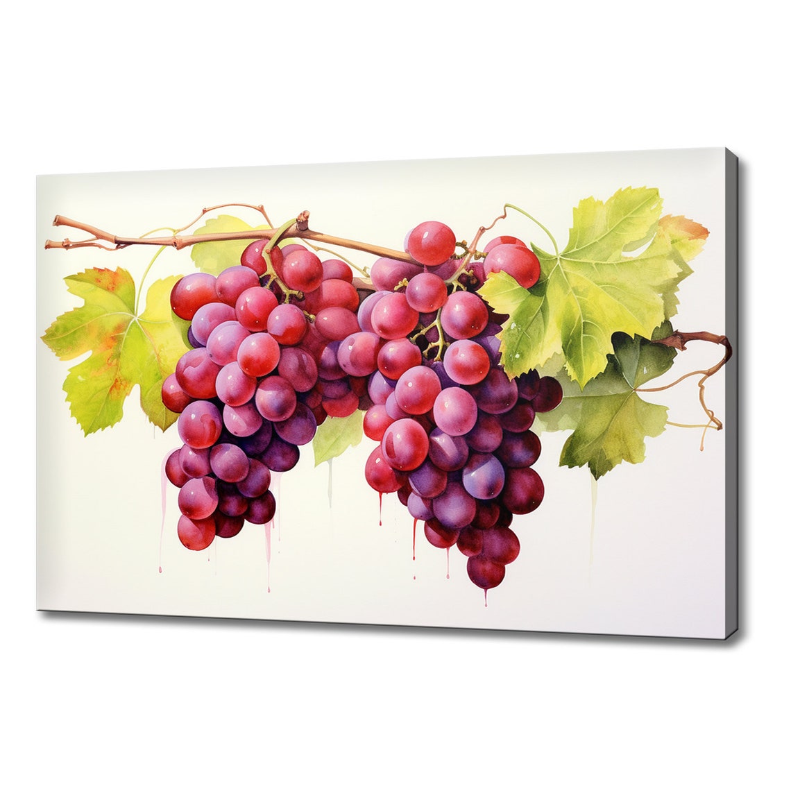 Red Grapes On Vine Watercolor Fruit Branch Kitchen Wall Art Print