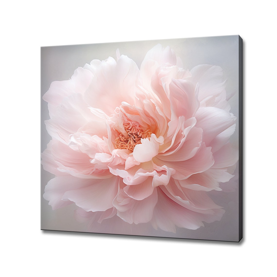 Soft Pink Peony Flower Close Up Blush Petals Elegant Bloom Poster