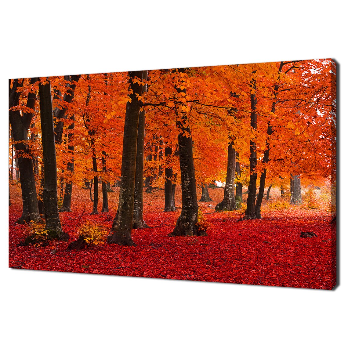 Foggy Mist Forest in Fall, Modern Design Art Print