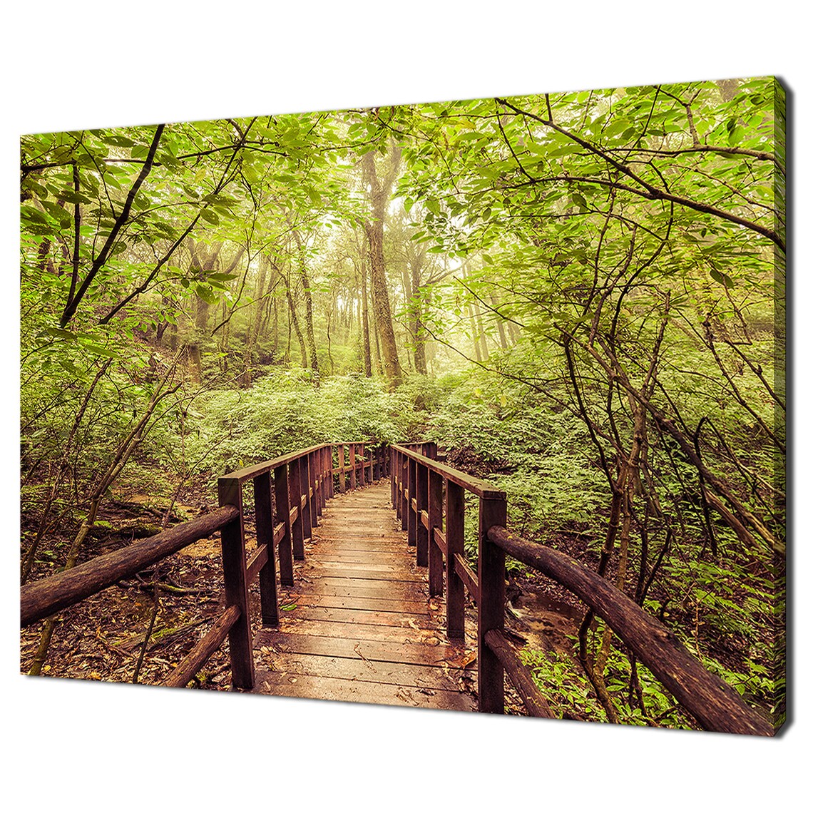 Wooden Bridge In The Green Forest, Modern Design Art Print