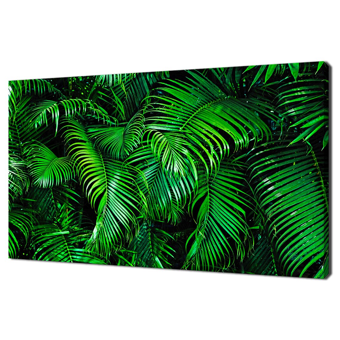 Lush Green Tropical Palm Fronds Dense Jungle Foliage Photo Poster