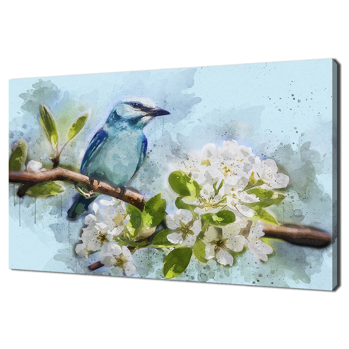 Blue Bird on Flowering Cherry Blossom Branch Watercolor Art Print