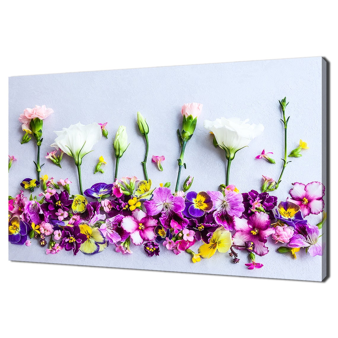 Spring Multicolored Pansy Flowers Flat Lay On White Floral Poster