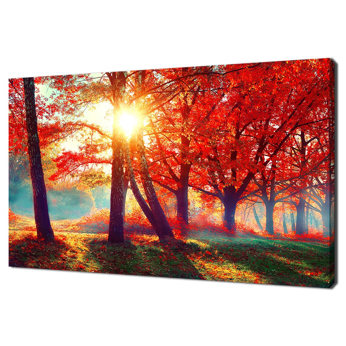 Red Autumn Park Sunrays Modern Design Wall Art Print