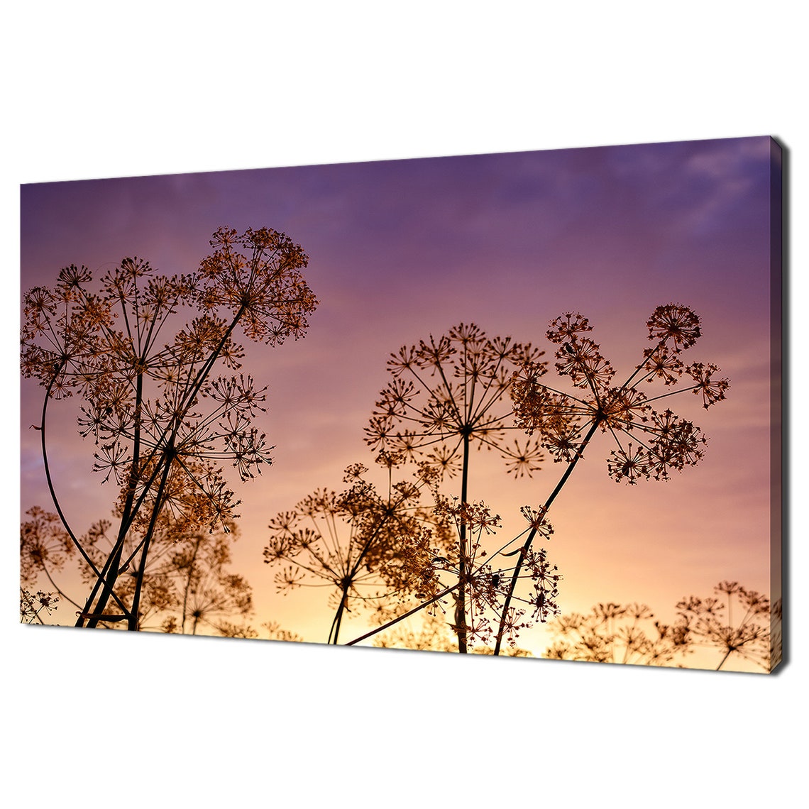Meadow Pink Purple Sunset Dry Grass Field Modern Design Home Decor Print Wall Art Picture