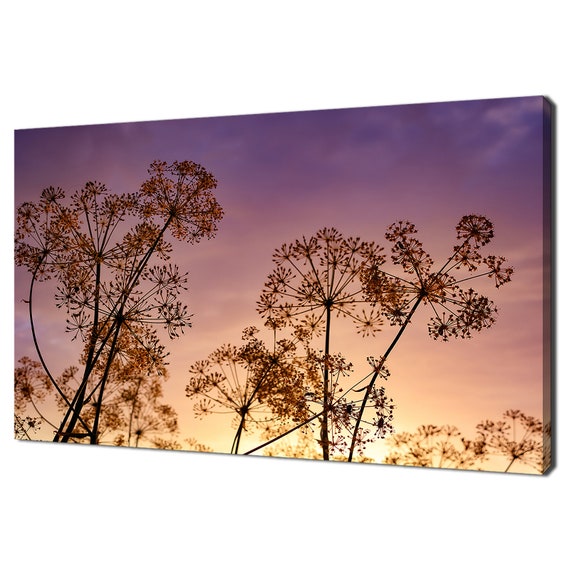 Meadow Pink Purple Sunset Dry Grass Field Modern Design Home Decor Print Wall Art Picture