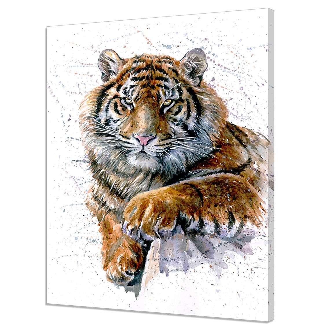 Bengal Tiger Watercolor Splash Painting Wildlife Big Cat Wall Poster