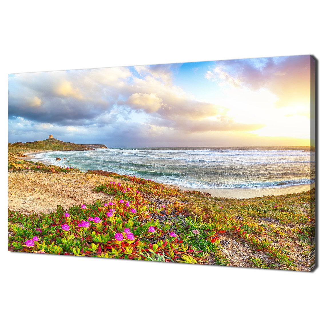 Sunset Coastline Flowering Shore Waves Headland View Travel Poster