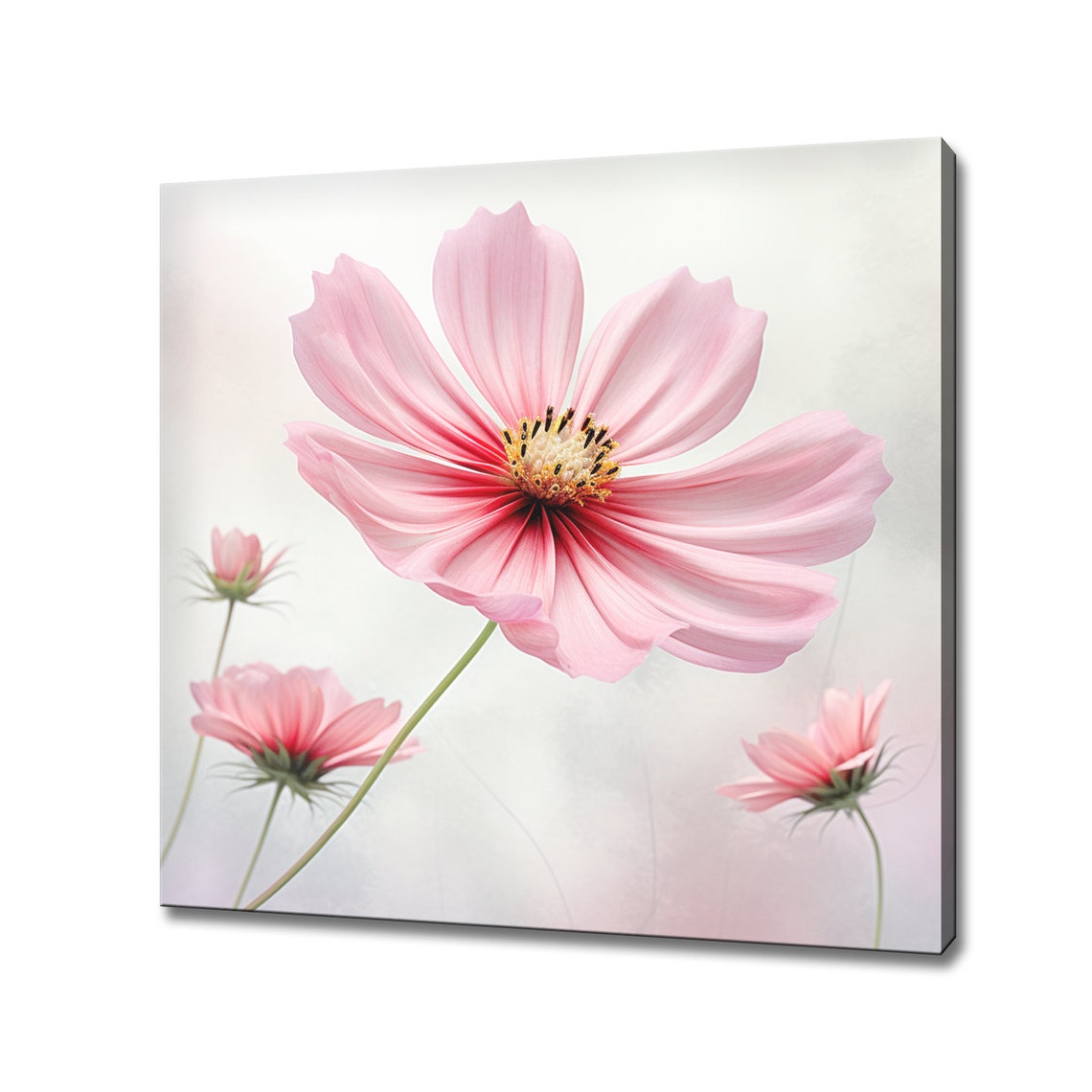 Pink Cosmos Flower Delicate Close Up Soft Botanical Wall Art Poster