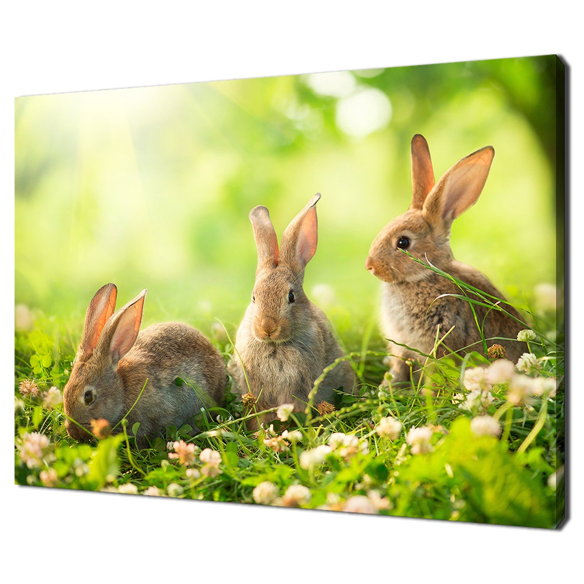 Cute Baby Easter Bunnies Sunny Meadow Clover Spring Rabbit Wall Art