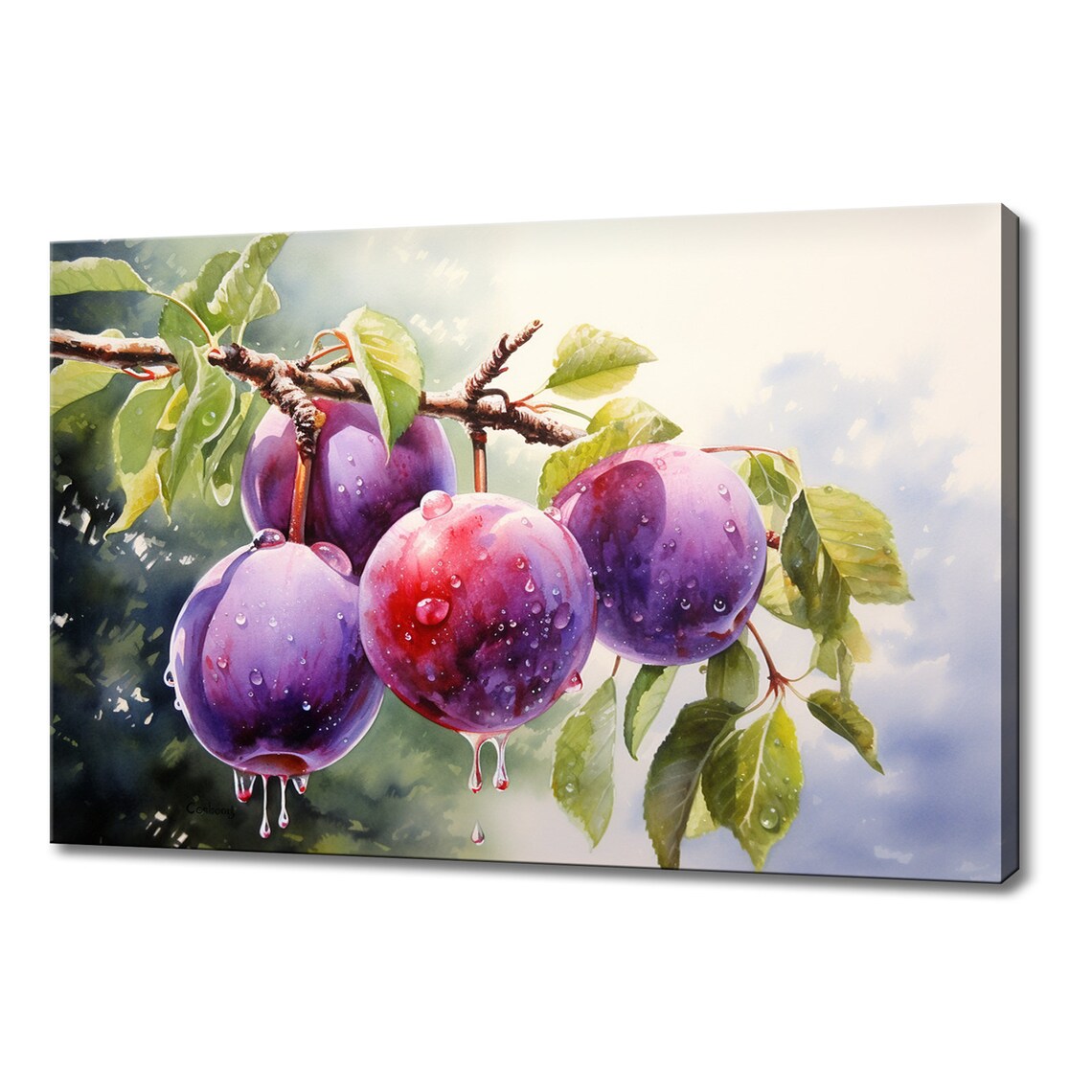 Ripe Purple Plums With Water Drops On Branch Watercolor Kitchen Poster