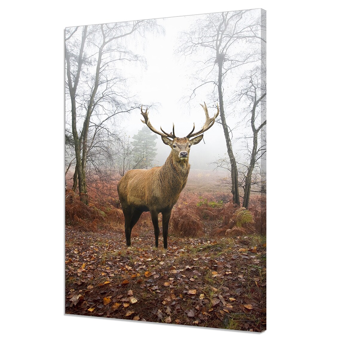 Red Deer Stag Autumn Foggy Forest Wildlife Nature Portrait Poster