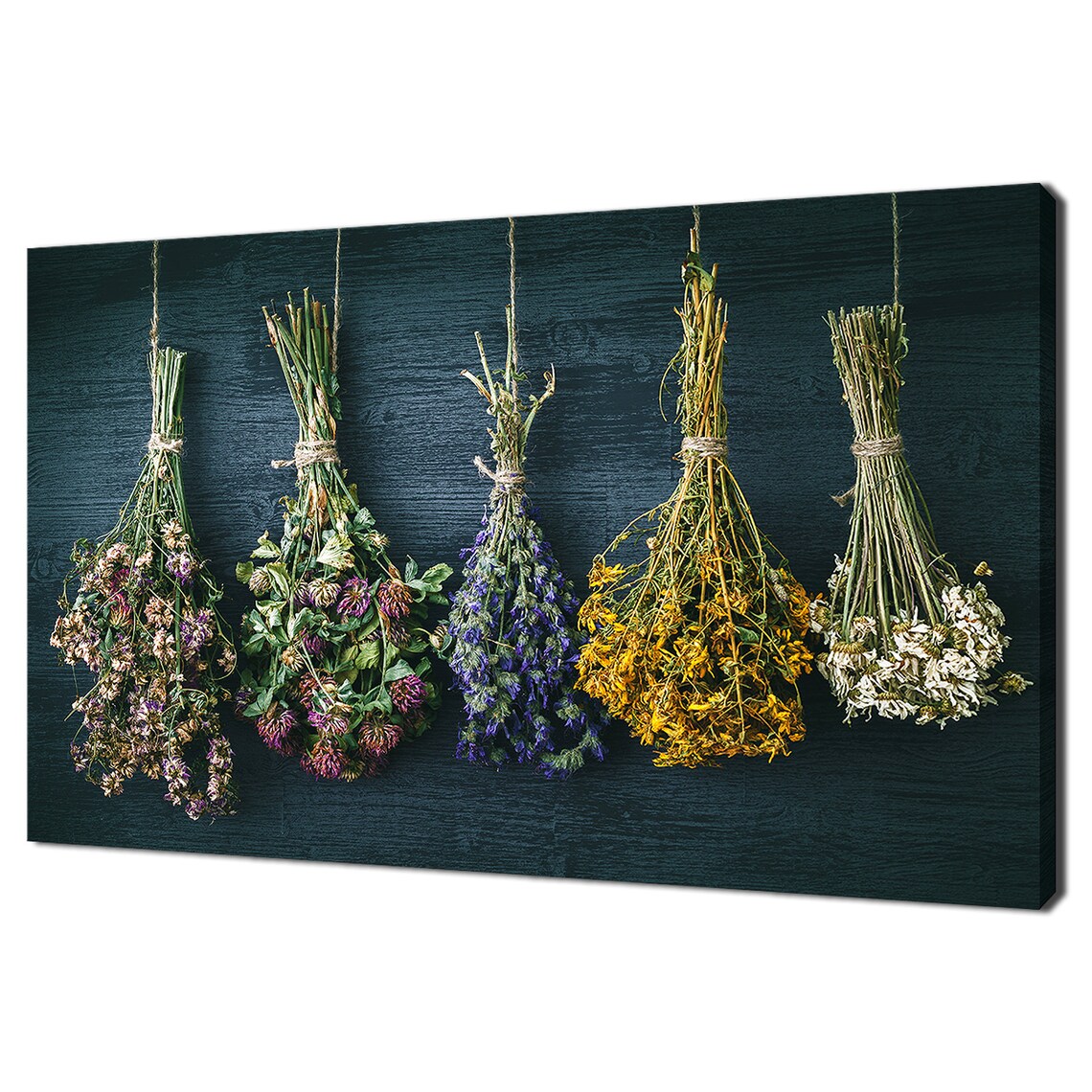 Hanging Dried Herbs And Flowers Kitchen Art Print