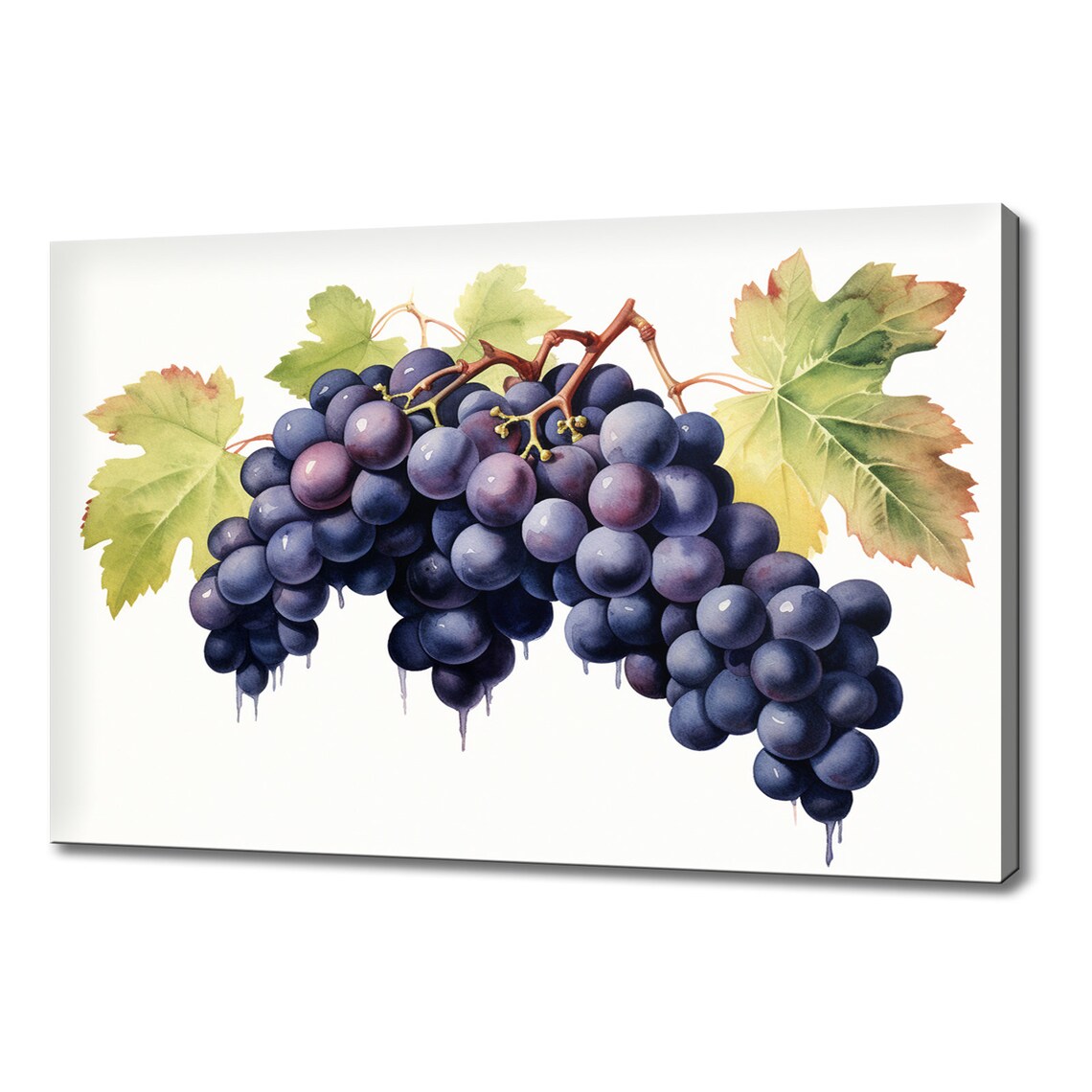 Black Grapes Bunch Watercolor Botanical Fruit Kitchen Art Poster