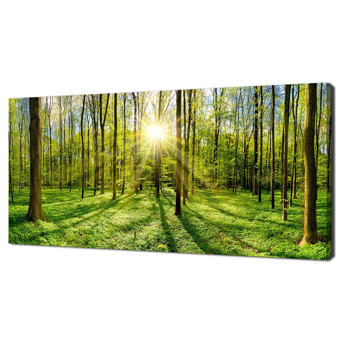 Green Forest In Spring Sunrays Modern Design
