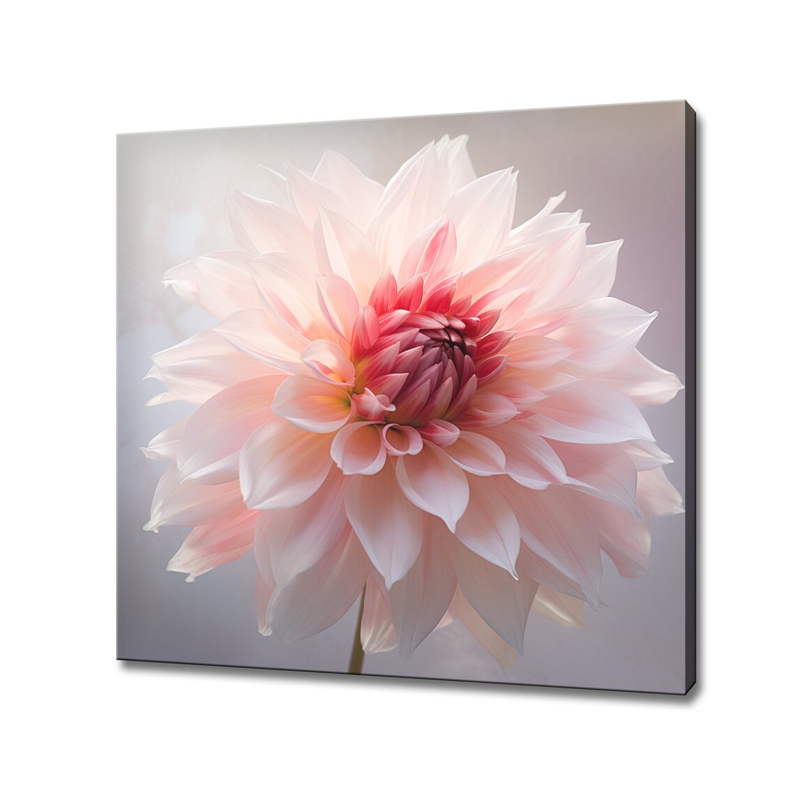 Blush Pink Dahlia Flower Close Up Portrait Photography Style Poster