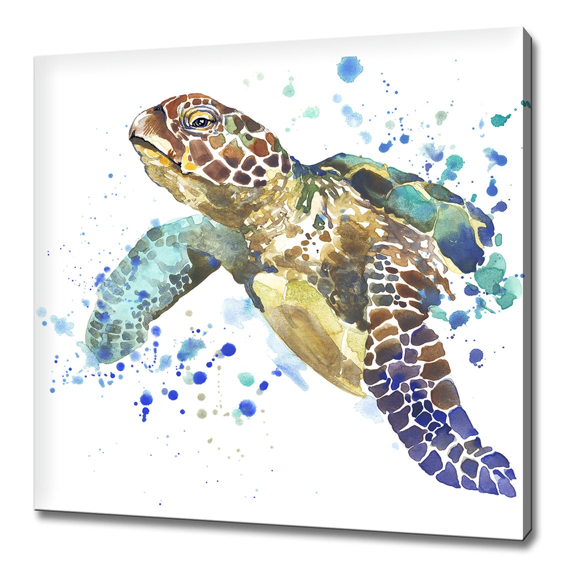 Sea Turtle Watercolor Painting Blue Paint Splash Coastal Ocean Poster