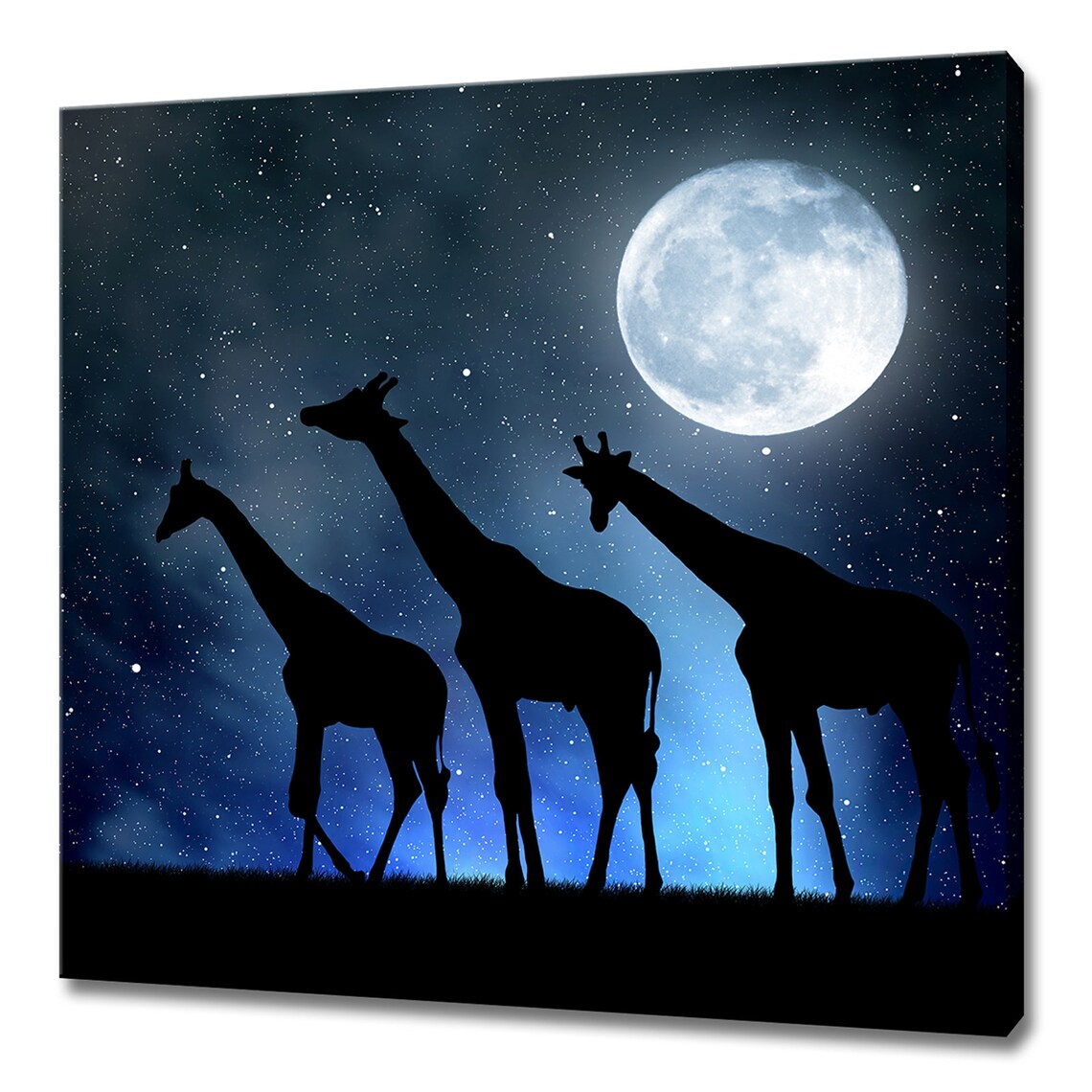 Three Giraffes Silhouette Under Full Moon Starry Night Savanna Art Print