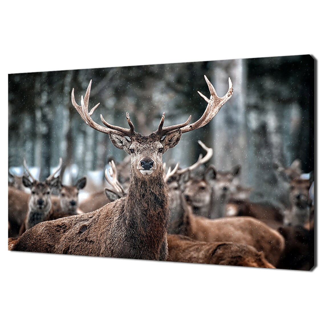 Red Deer Stag And Herd, Modern Animal Art Print
