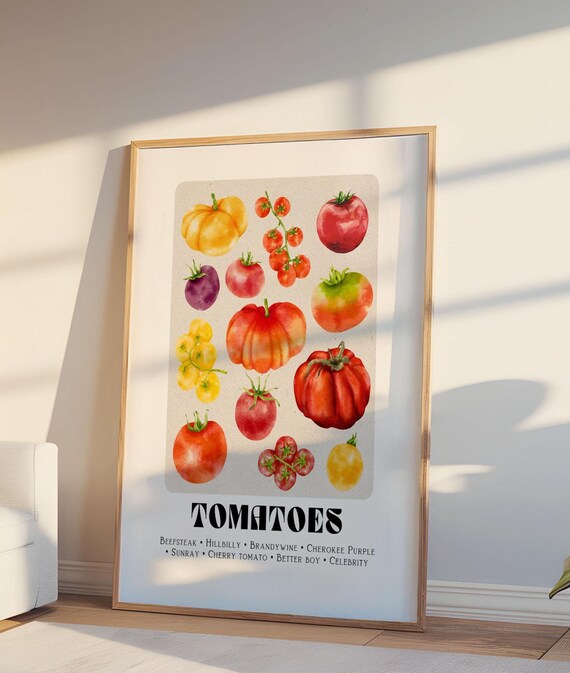Heirloom Tomato Varieties Watercolor Botanical Kitchen Poster