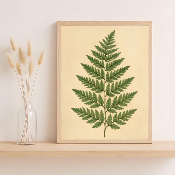 Fern Leaf Botanical Print Vintage Green Plant Wall Art Natural History Illustration Herbarium Style Png