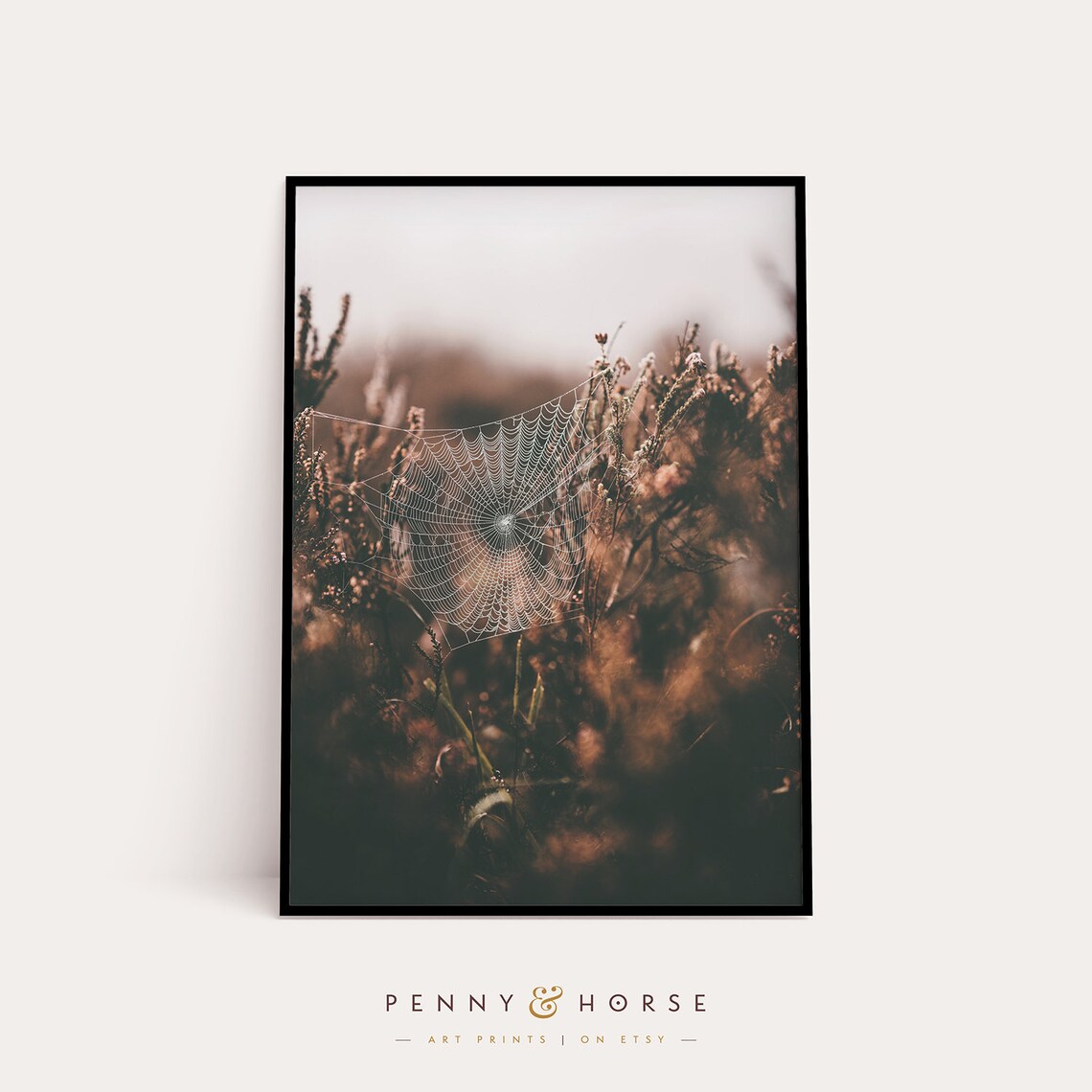 Delicate Spider Web Among Wildflowers Nature Photography Art Poster - Image 4