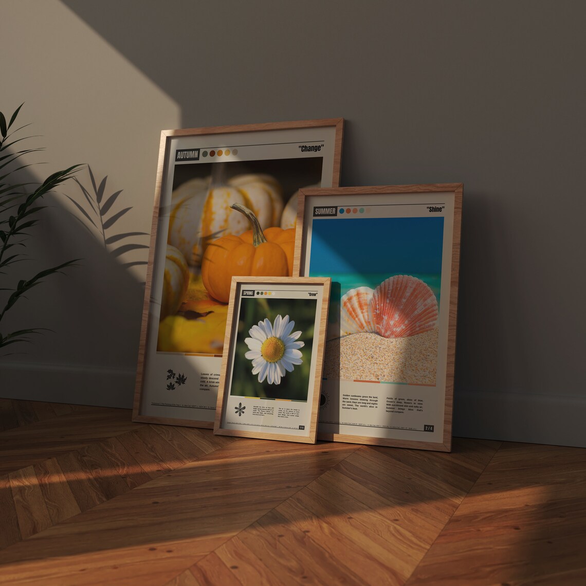 Fresh Spring Daisy Grow Botanical Seasonal Photography Poster - Image 4
