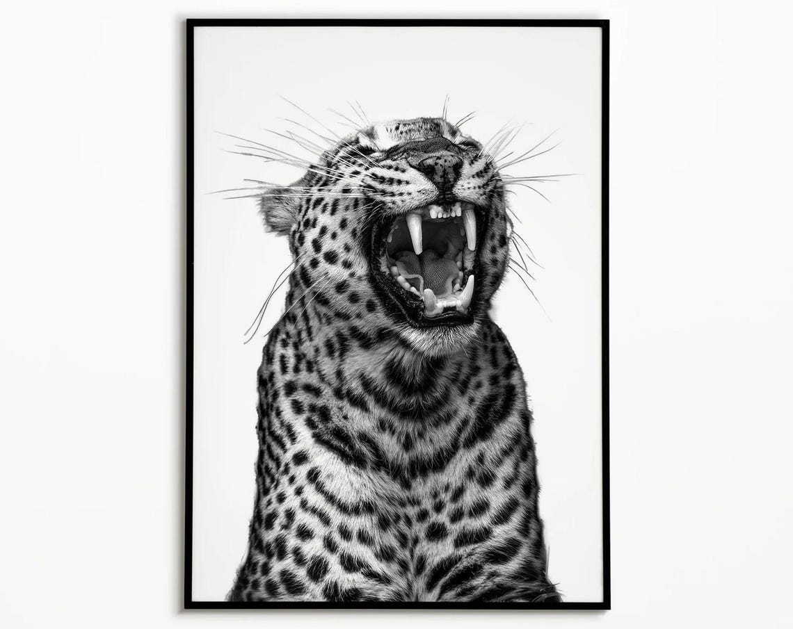 Yawning Leopard Black And White Wild Animal Photography Poster