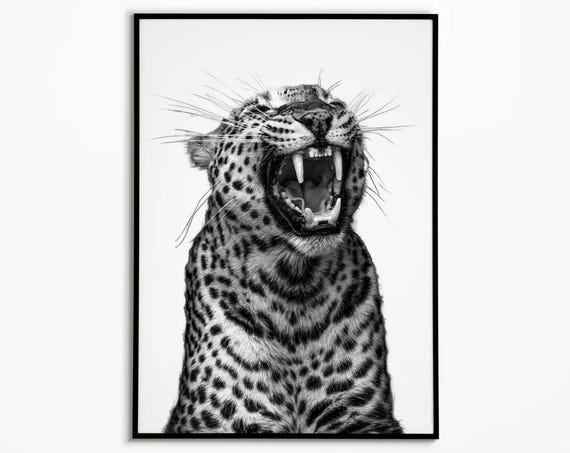 Leopard Print Animal Print Leopard Art Wild Animal Print Fashion Print Jungle Print Dorm Room Decor Black And White Art