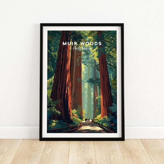 Muir Woods Poster, Redwood Forest Nature Scene