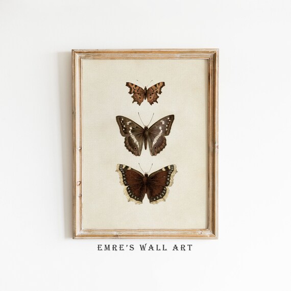 Vintage Butterfly Sketch Art Print, Neutral Farmhouse