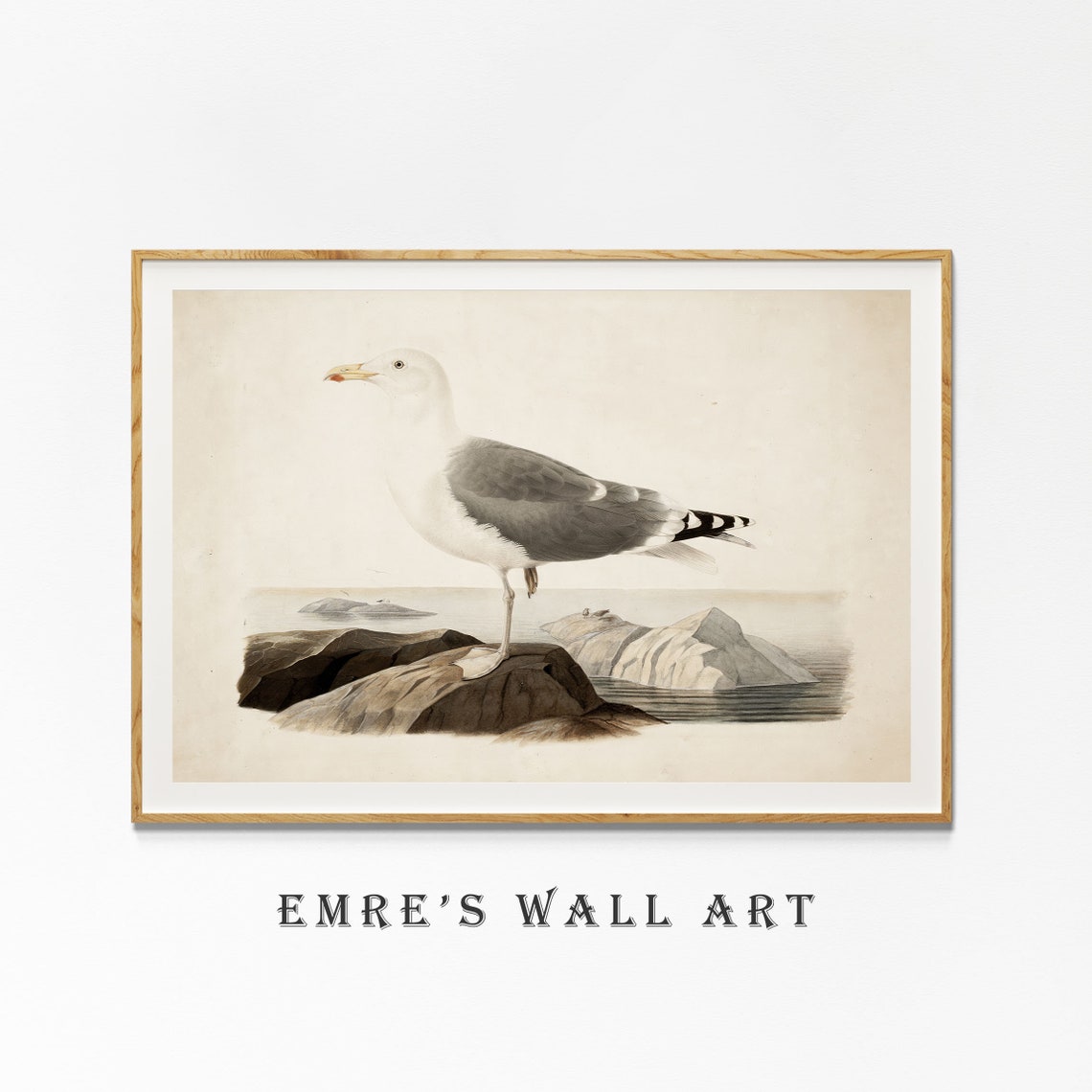 Seagull On Coastal Rocks Vintage Bird Illustration Antique Poster - Image 4