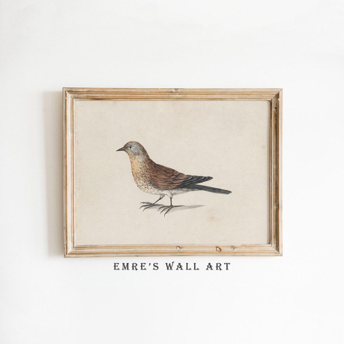 Vintage Bird Drawing, Farmhouse Bird Art Print
